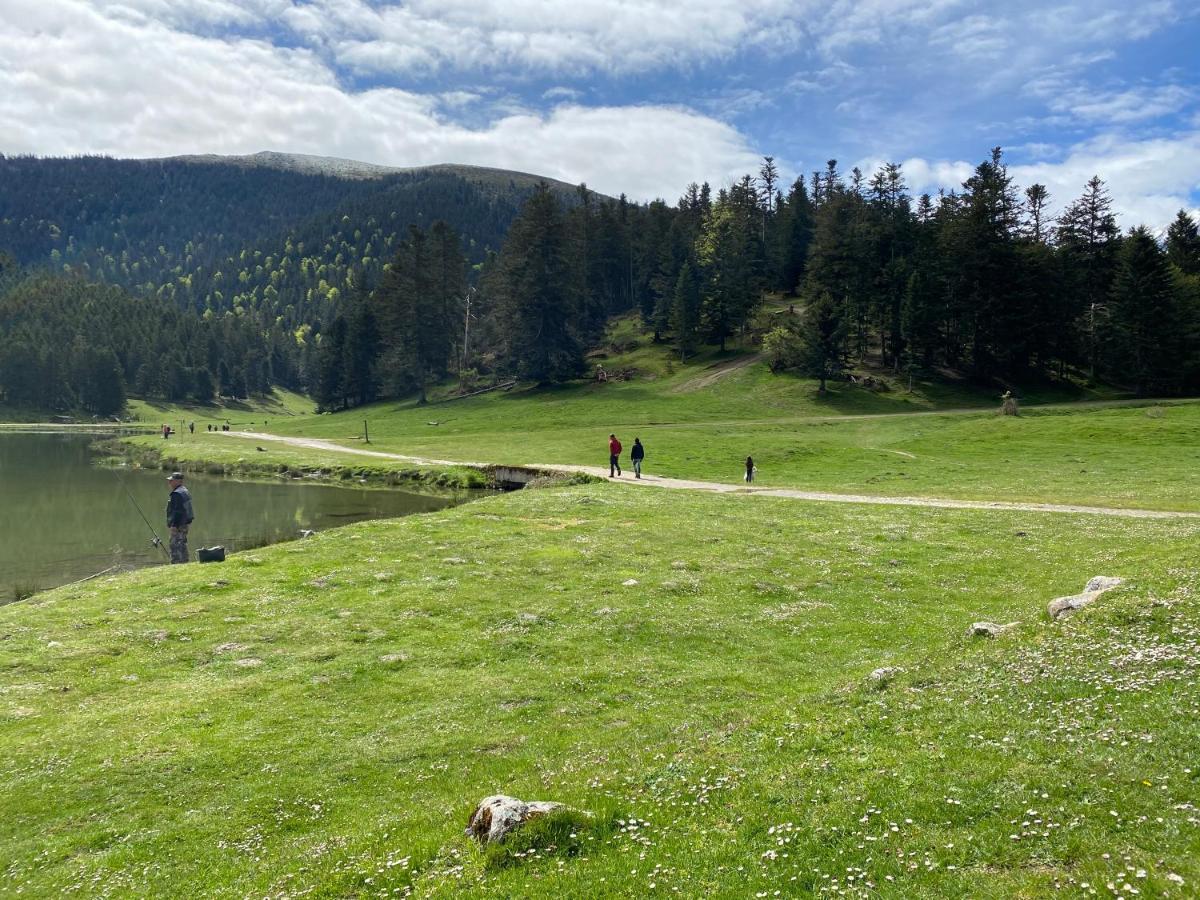 Gite Chaleureux Au Lac De Payolle Campan Εξωτερικό φωτογραφία