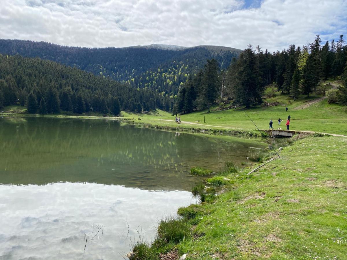 Gite Chaleureux Au Lac De Payolle Campan Εξωτερικό φωτογραφία