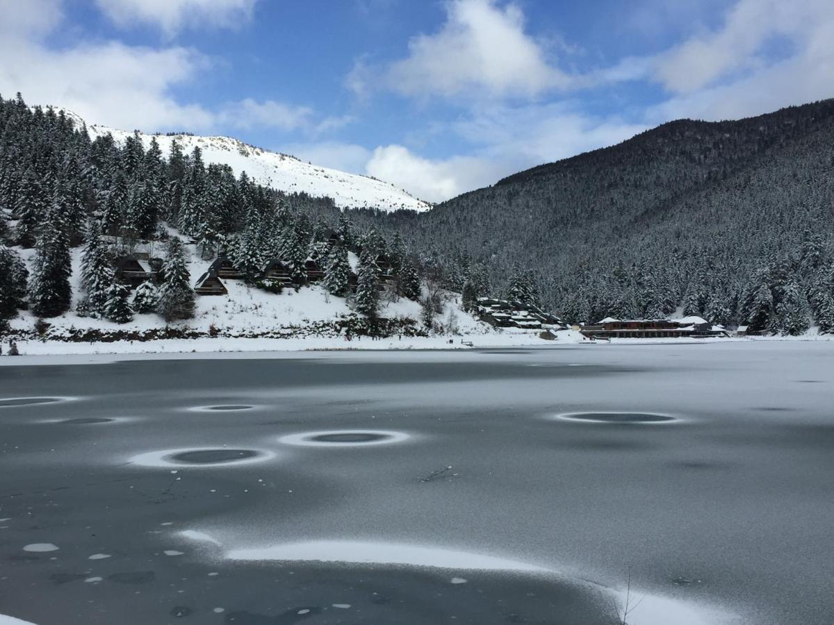 Gite Chaleureux Au Lac De Payolle Campan Εξωτερικό φωτογραφία